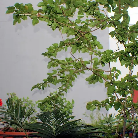 Lili לינה וארוחת בוקר סלרנו