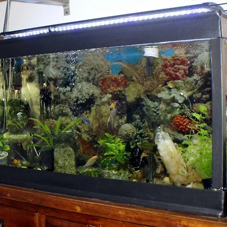 Lili Bed & Breakfast Salerno