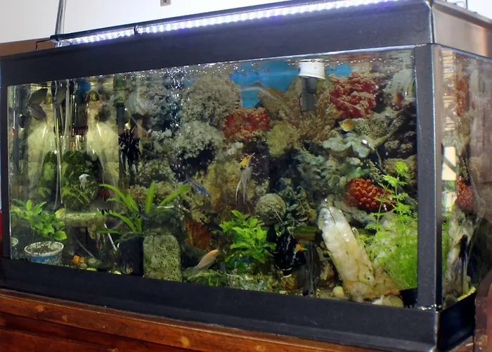 Lili Nocleg ze śniadaniem Salerno